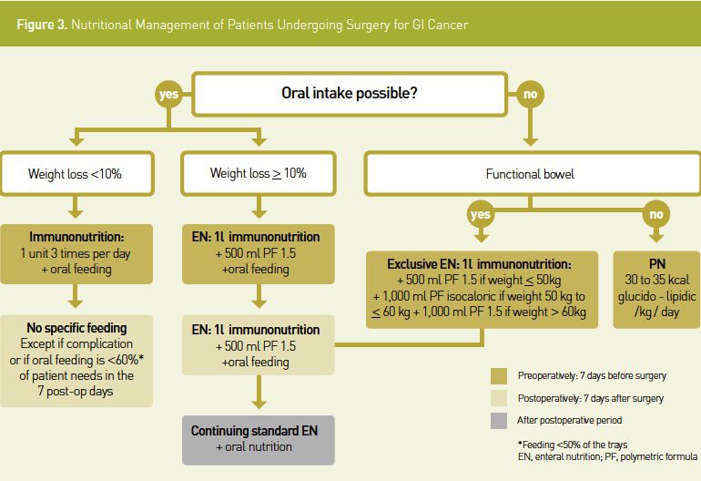 Perioperative Nutrition in Upper Gastrointestinal Cancer Patients  HealthManagement.org