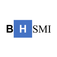 BHSMI Society for Medical Informatics in Bosnia and Herzegovina