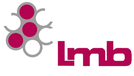 Lmb Technologie GmbH