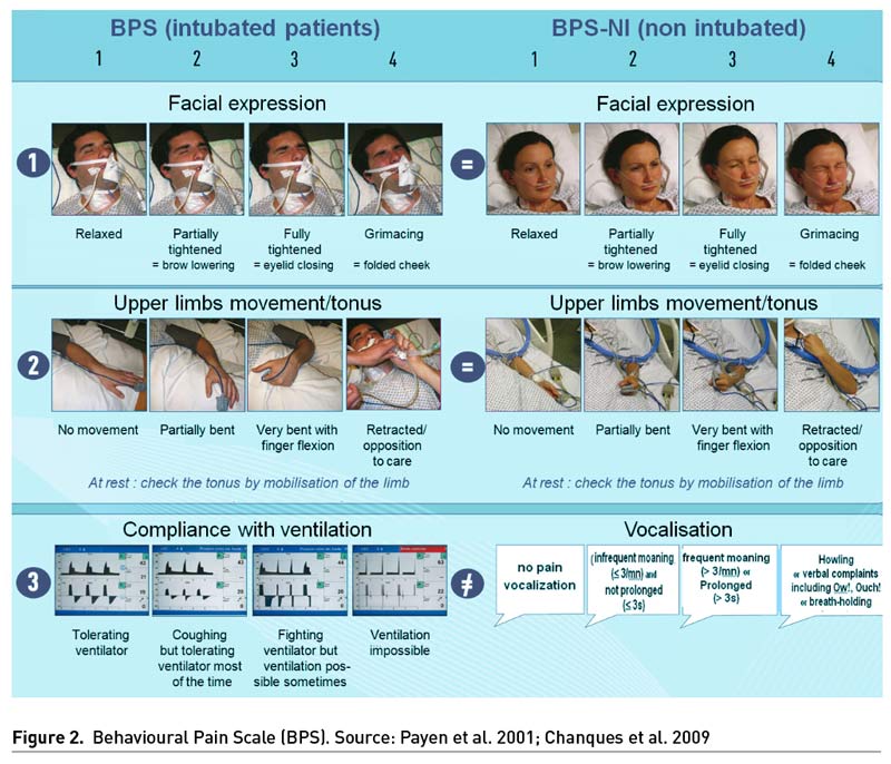 Corporation Messenger pick behavioral pain scale bps Monetary dual tanker