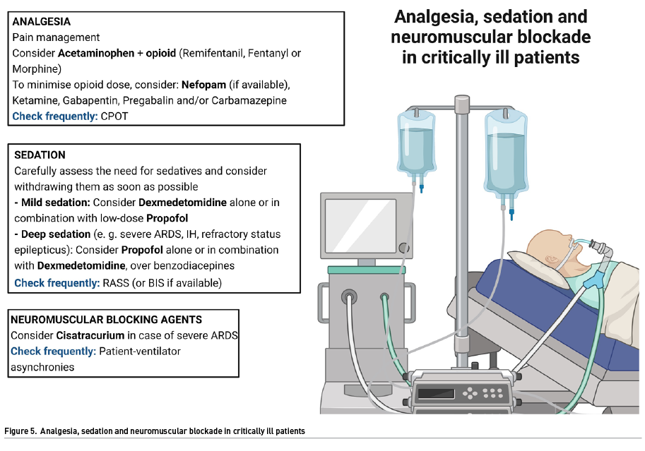 My Way RT 🫁 on X: C stands for Choice of analgesia and sedation