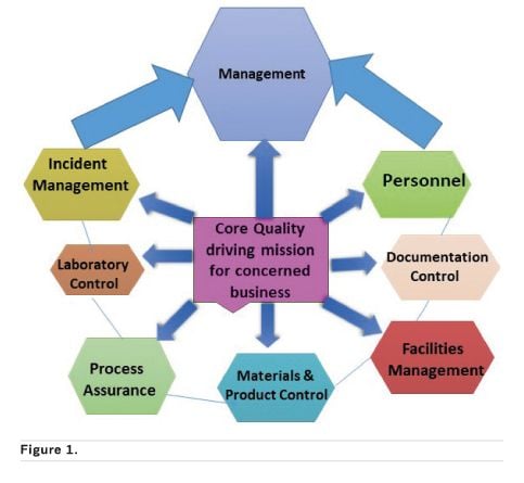 How Following Steps For Quality Impact Healthcare Consumerism Healthmanagement Org