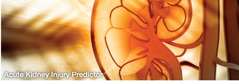 The AKIpredictor: An Online Calculator to Predict Acute Kidney Injury