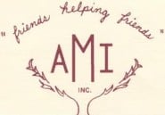 AMI Inc