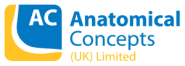 ANATOMICAL CONCEPTS (UK) LTD