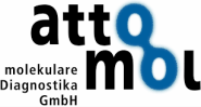 ATTOMOL GmbH Molekulare Diagnostika