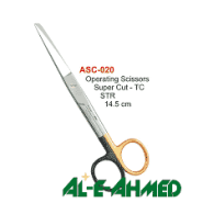 Al-e-Ahmed