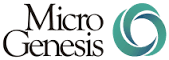 MicroGenesis Techsoft Pvt Ltd