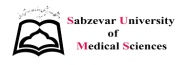 Sabzevar Faculty of Medical Sciences and Health Services