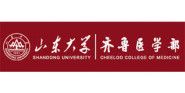 Shandong University School of Medicine