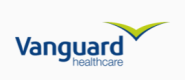 Vanguard Healthcare Solutions (MEMO BV)