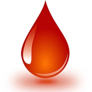 How to Implement Patient Blood Management Bundles
