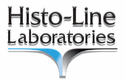 Histo Line Laboratories