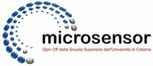 Microsensor