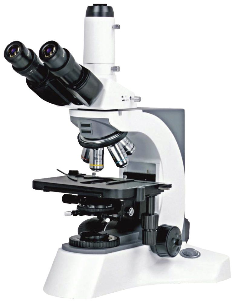 Biology microscope / laboratory / optical / binocular N-800M Seeuco Electronics Technology