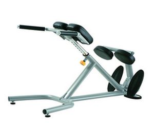 (weight training) / lumbar extension bench / rehabilitation / adjustable A993 SportsArt Fitness