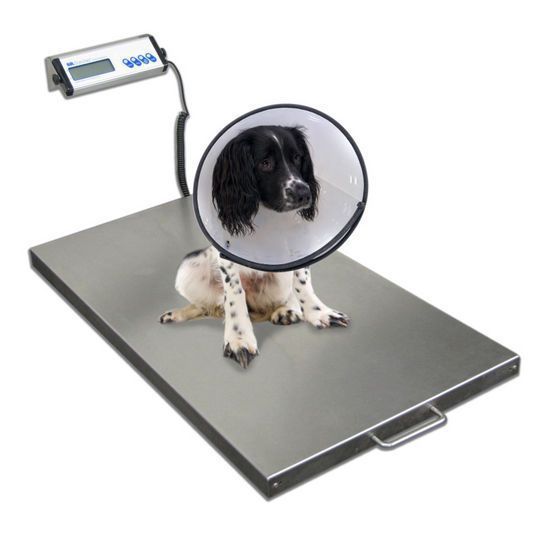 Veterinary balance / electronic / with mobile display SRV942 SR Instruments