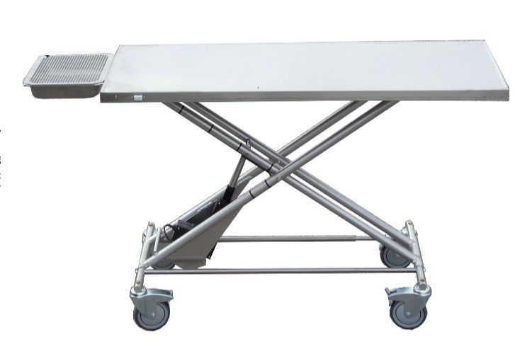 Electric veterinary transport table with dental tray Technidyne