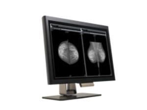 Monochrome display / LCD / medical 30? | MW100 Canvys