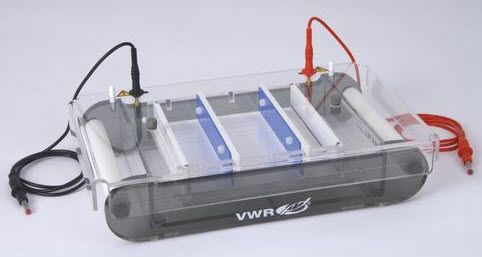 Compact electrophoresis system / horizontal kuroGEL Midi Plus 15 VWR