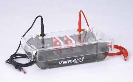Compact electrophoresis system / horizontal kuroGEL Mini 6 VWR