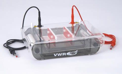 Compact electrophoresis system / horizontal kuroGEL Mini Plus 10 VWR