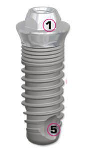 Cylindrical dental implant / titanium / internal hexagon / monobloc EVL® Compact SERF Dedienne santé