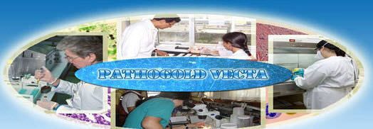 Data management software / medical / laboratory / for hospitals PathoGold Vecta Birlamedisoft