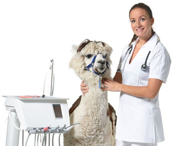 Mobile dental delivery system / veterinary Planmeca Compact™ i Touch Planmeca