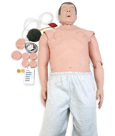 Cardiopulmonary care patient simulator / whole body 6930.01 Altay Scientific