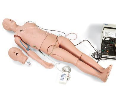 Treatment patient simulator / whole body 6930.23 Altay Scientific