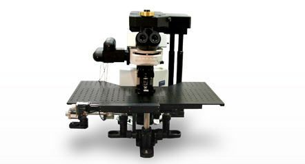 Laboratory microscope / multiphoton laser scanning Ultima Bruker Nano Surface