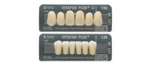 Acrylic resin dental prosthesis VITAPAN® PLUS VITA Zahnfabrik H. Rauter GmbH & Co.KG