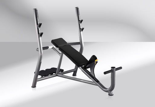 Weight training bench (weight training) / traditional / inclined / with barbell rack Element + Technogym