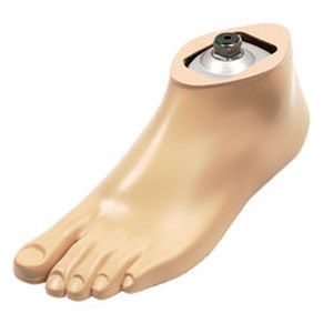 Foot prosthesis (lower extremity) / dynamic / silicone / polycentric 1D35 Dynamic Motion Ottobock