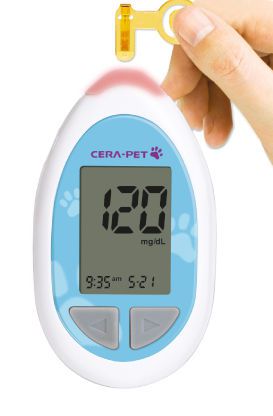 Veterinary blood glucose meter 10 - 900 mg/dl | CERA-PET™ CERAGEM Medisys