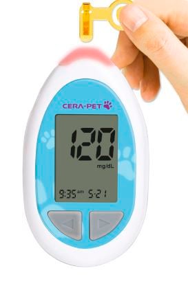 Veterinary blood glucose meter 10 - 900 mg/dl | CERA-PET™ CERAGEM Medisys