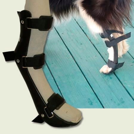 Front Leg Splint Dog Cat, Dog Wheelchair, Dogs | atelier-yuwa.ciao.jp