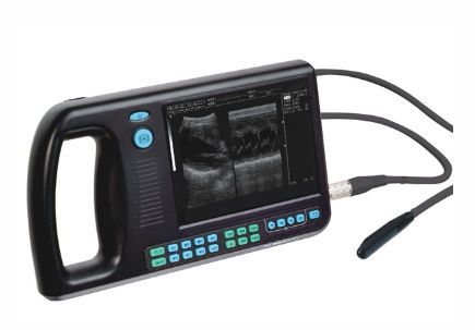 Hand-held veterinary ultrasound system CUS-3000 VET CAREWELL