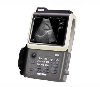 Hand-held ultrasound system / for multipurpose ultrasound imaging C3 CAREWELL