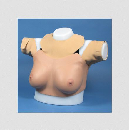 Breast massage simulator ALT40201 Adam, Rouilly