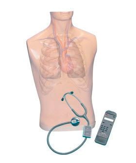Auscultation patient simulator / torso / with sound generator AN1142 Adam, Rouilly