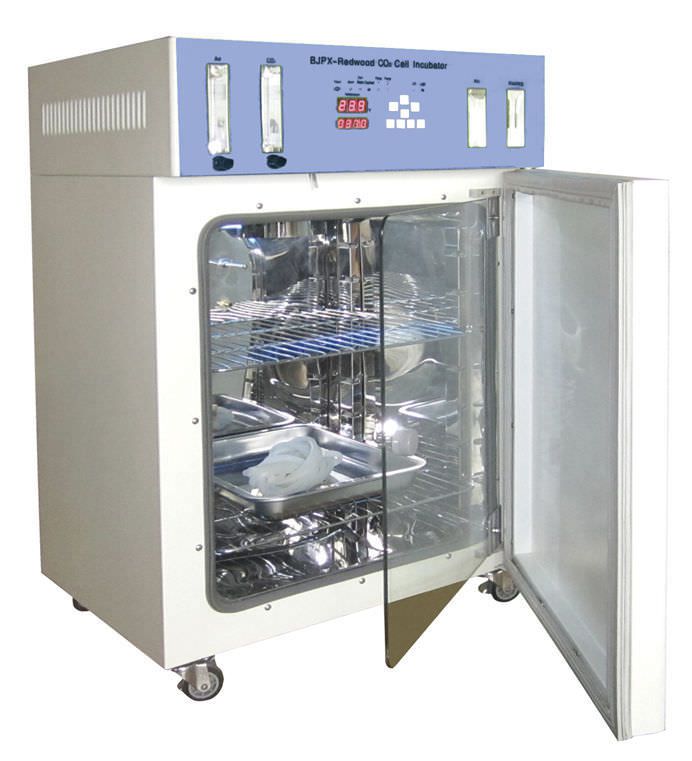 CO2 laboratory incubator 5 °C ... 65 °C, 80 - 160 L | BJPX-Redwood, BJ PX-Cypress Biobase Biodustry
