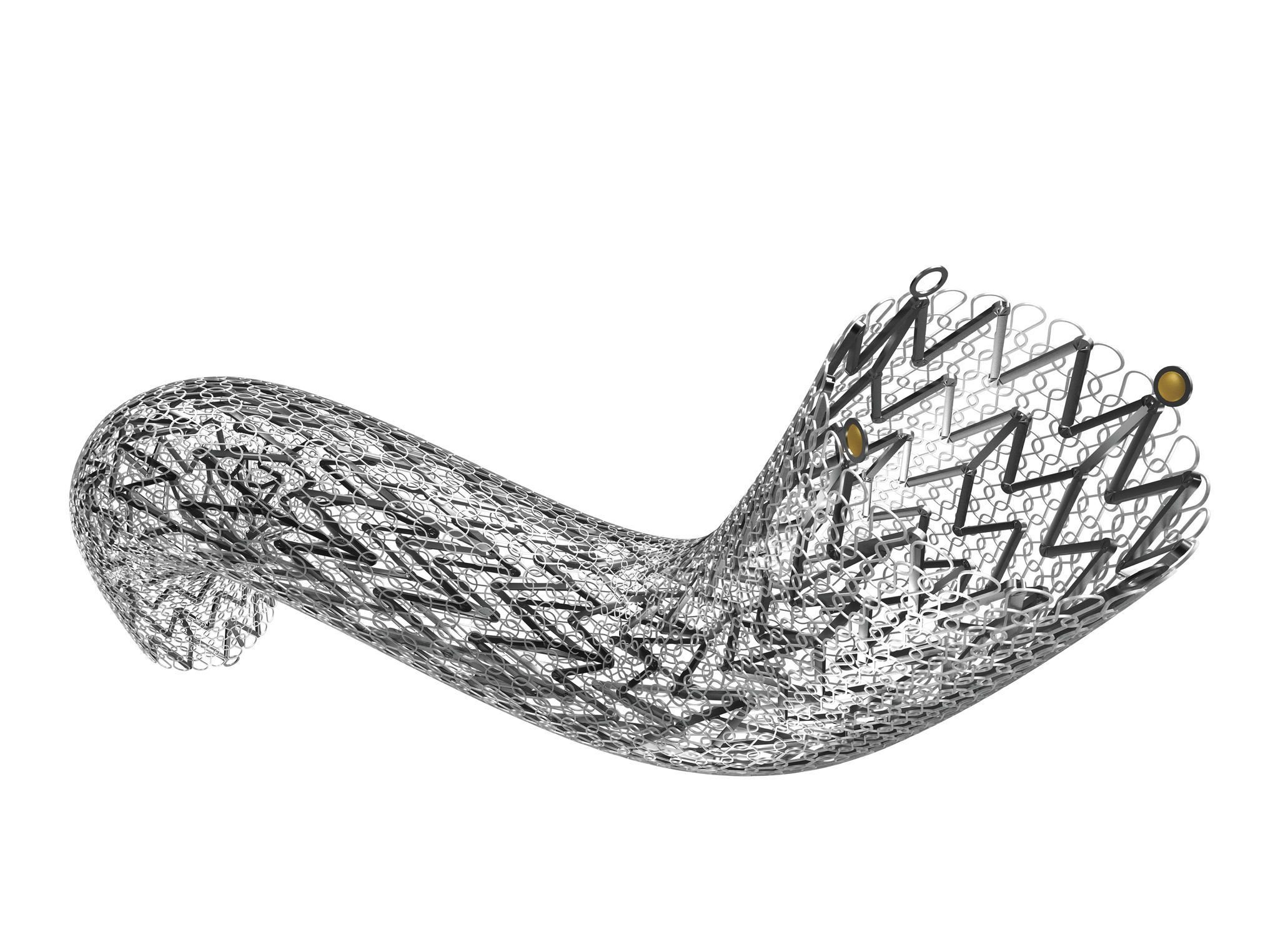 Carotid stent / nitinol CGuard™ InspireMD Carotid stent / nitinol CGuard™ InspireMD