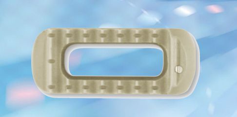 Thoraco-lumbar interbody fusion cage Futago™ Shanghai Microport Orthopedics Co.,Ltd