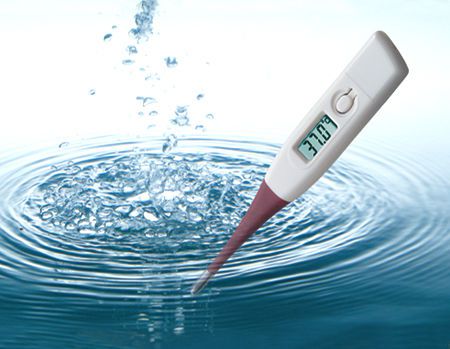 Medical thermometer / electronic / flexible tip 32 ... 44 °C | 831 Valeo Corporation