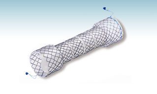 Esophageal stent CHOOSTENT® Valve CCC M.I Tech