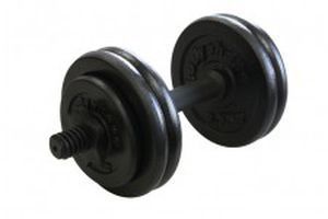 Short dumbbells PS-DB-P-15K Alexandave Industries