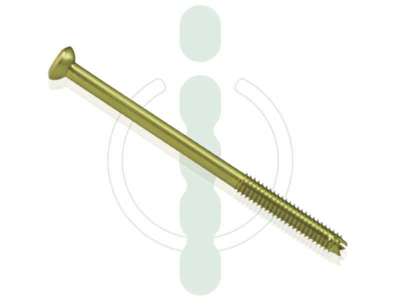 Not absorbable cannulated bone screw 3 mm INTERCUS