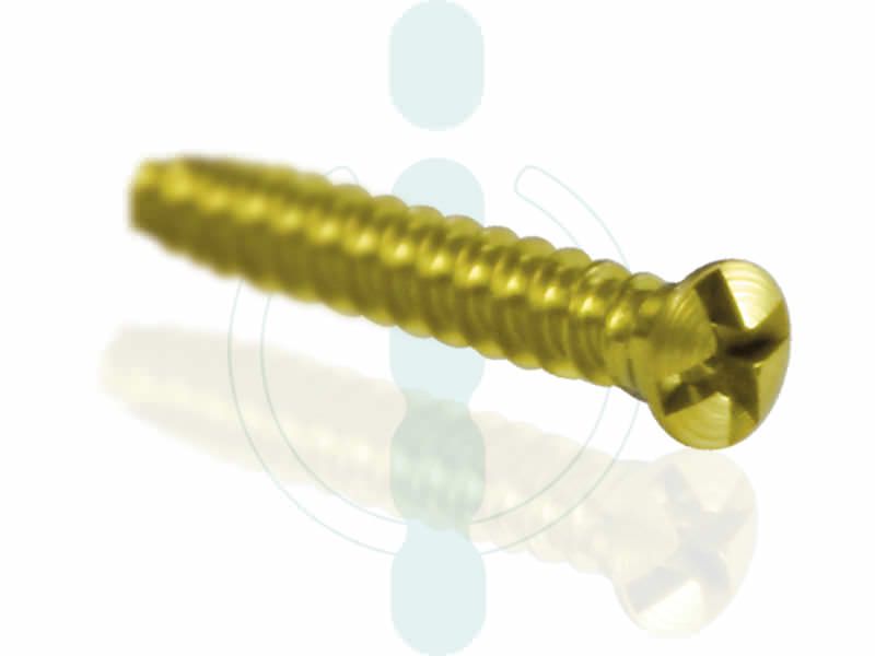 Weil osteotomy cortical screw / not absorbable TWISTER® | 2 mm INTERCUS